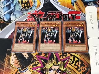 英語版 異次元の女戦士 1 ノーマル  3枚セット てら