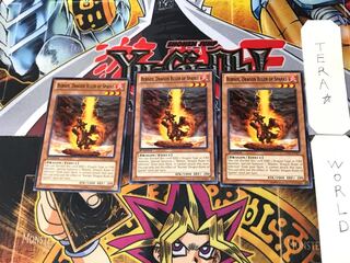 English Fire Conqueror Dragon - Burner 2 Normal, set of 3 Tera.