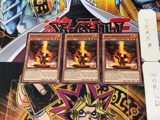 English Fire Conqueror Dragon - Burner 3 Normal, set of 3 Tera.