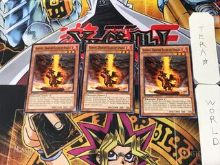 English Fire Conqueror Dragon - Burner 6 Normal, set of 3 Tera.