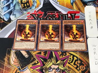 English Fire Conqueror Dragon - Burner 8 Normal, set of 3 Tera.