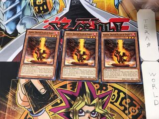 English Fire Conqueror Dragon - Burner 9 Normal, set of 3 Tera.