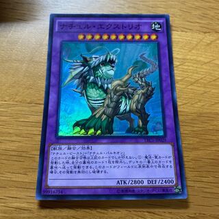 ナチュル・エクストリオ」の激安通販 | magi