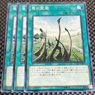 鮭イクラ商店 1539 竜の霊廟 ノーマル JP010