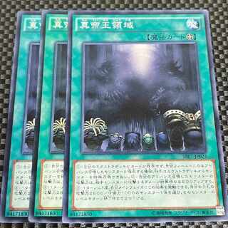 鮭イクラ商店 1549 真帝王領域 ノーマル 型番不揃い