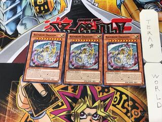 English Rainbow Dragon 2 Normal, set of 3 Tera