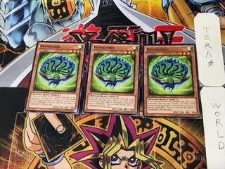 英語版 究極宝玉神 九蛇孔雀 1 ノーマル  3枚セット てら