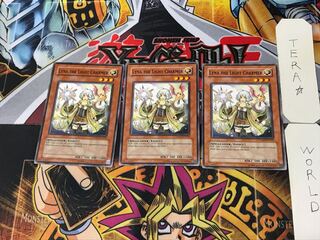 英語版 光霊使いライナ 1 ノーマル  3枚セット てら