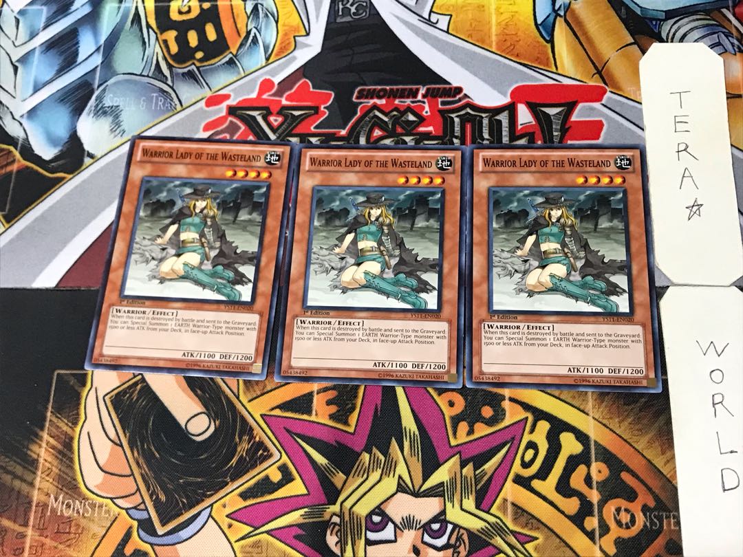 English Warrior Lady of the Wasteland 1 Normal, set of 3 Tera.