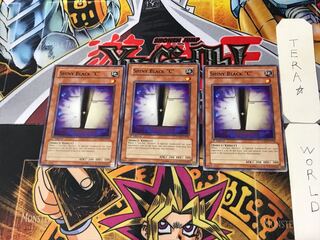 English Shiny Black "C" 1 Normal, set of 3 Tera.