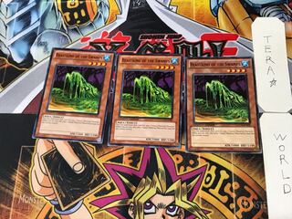 英語版 沼地の魔獣王 1 ノーマル  3枚セット てら