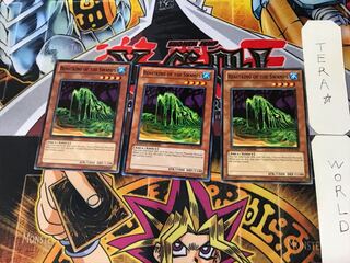 英語版 沼地の魔獣王 3 ノーマル  3枚セット てら