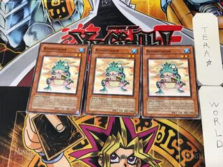 English Ronintoadin 1 Normal, set of 3 Tera.