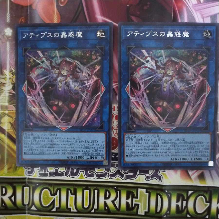 Atipus Mushrooms Secret 2 copies