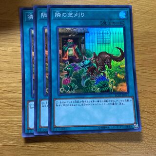 隣の芝刈り スーパーレア JP041