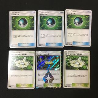 エーテルパラダイス保護区 ネットボール ライフフォレスト