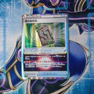 森の封印石 R 092/098