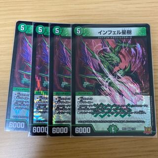 Infelix star tree (species of sedge, Infelix infelix)