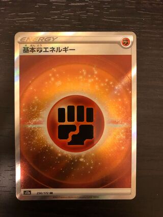 基本闘エネルギー SR 256/172