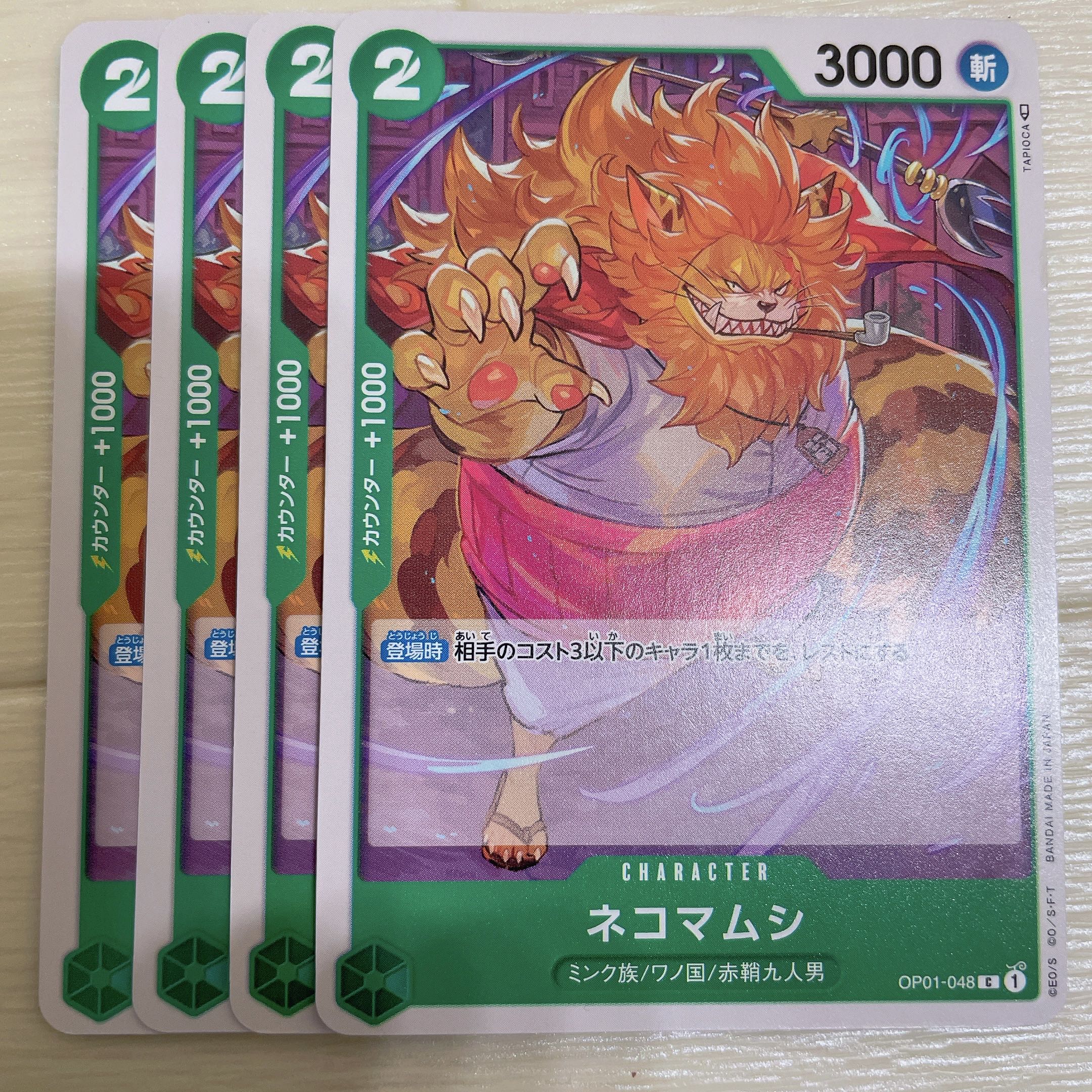 Pseudobagrus ichikawai (species of catfish)