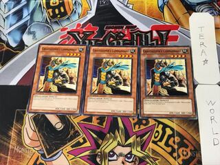 English Gravekeeper's Commandant 2 Normal, set of 3 Tera.