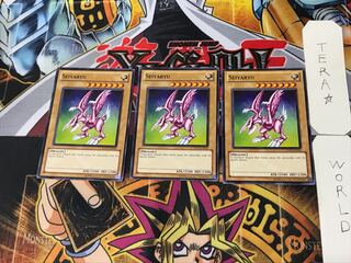 English Seiyaryu 1 Normal, set of 3 Tera.