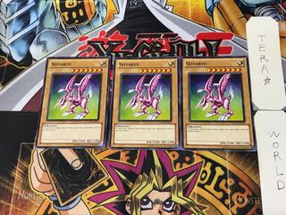 English Seiyaryu 2 Normal, set of 3 Tera.