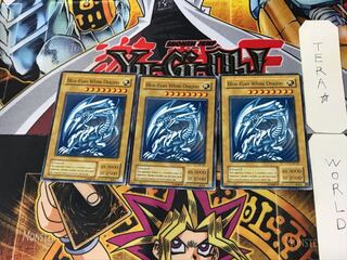 English Blue-Eyes White Dragon 2 Normal, set of 3 Tera.