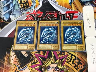 English Blue-Eyes White Dragon 3 Normal 3-card set Tera