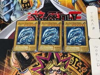 English Blue-Eyes White Dragon 4 Normal, set of 3 Tera.