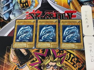 English Blue-Eyes White Dragon 5 Normal 3-card set Tera