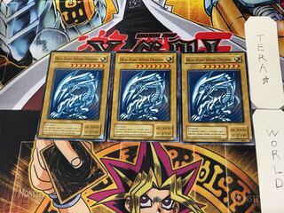 English Blue-Eyes White Dragon 7 Normal, set of 3 Tera.