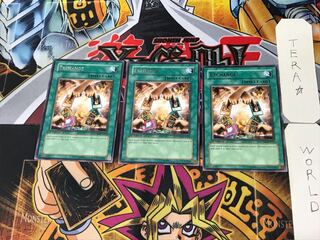 English Exchange 2 Rare, set of 3 Tera.