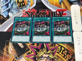 English Toon World 1 Rare 3-card set Tera