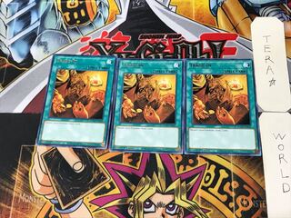 English Trade-In 3 rare, set of 3 Tera.