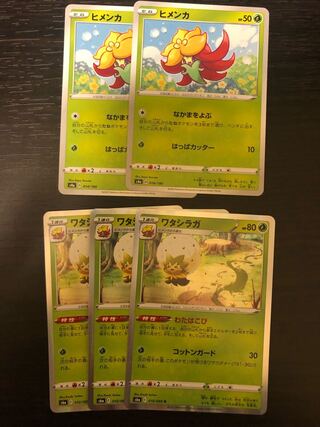 ヒメンカ ＆　ワタシラガ　セット