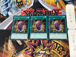 English Dragon's Mirror 1 rare, set of 3 Tera.