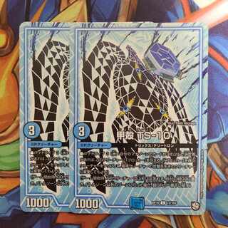 Carapace TS-10 set of two