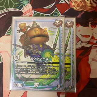 Poktama (variety of rice)