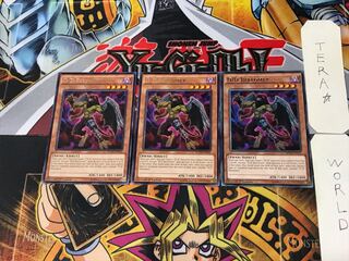 English D/D Berfomet 1 rare, set of 3 Tera.