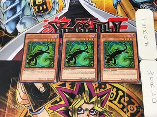 英語版 カゲトカゲ 2 レア 3枚セット てら