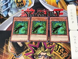 英語版 カゲトカゲ 2 レア 3枚セット てら