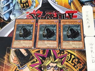 英語版 カードを狩る死神 1 レア 3枚セット てら