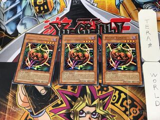 英語版 キラー・トマト 1 レア 3枚セット てら