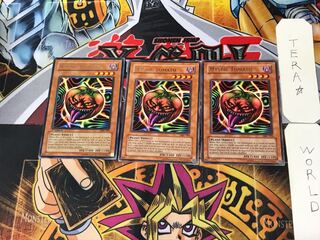 英語版 キラー・トマト 3 レア 3枚セット てら