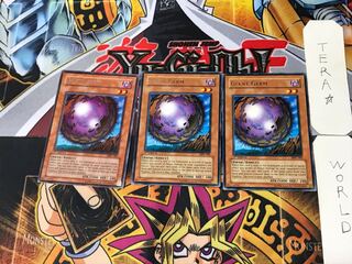 English Giant Germ 1 rare, set of 3 Tera.