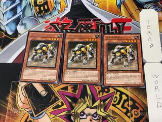 English Scrap Beast 4 Rare, set of 3 Tera.