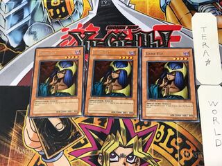 英語版 ダーク・エルフ 1 レア 3枚セット てら