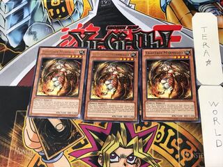 遊戯王 - 蠱惑魔の森　3個　英語版　EU版 81LeMZza62L._UF350,350_QL50_.jpg
