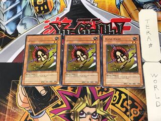 English Hane-Hane 2 rare, set of 3 Tera.